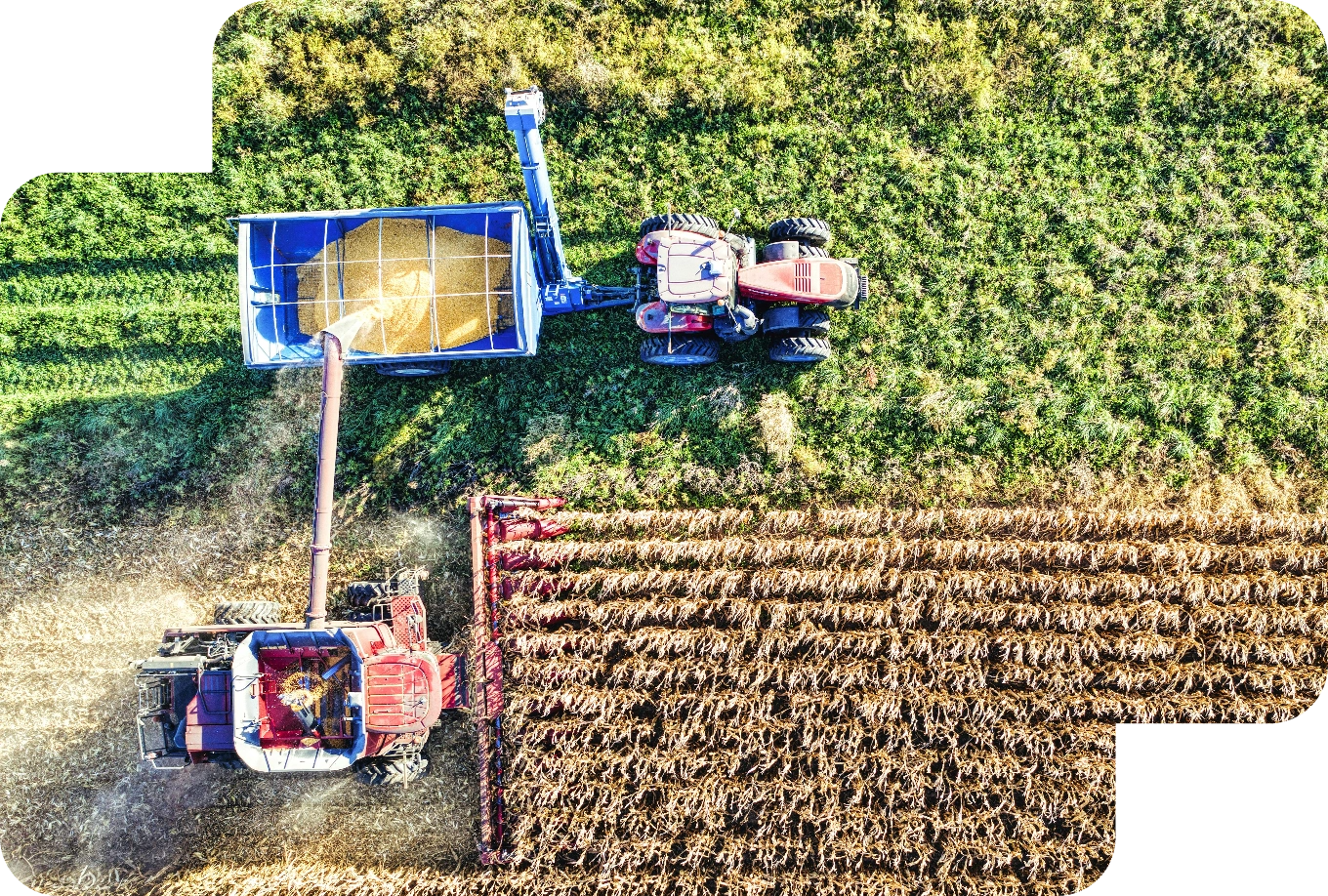 Campo com máquinas e plantação